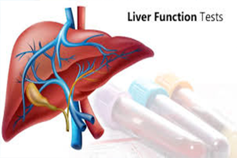 liver